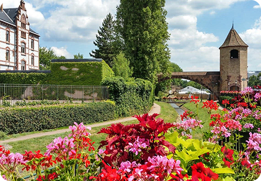 ville de Haguenau